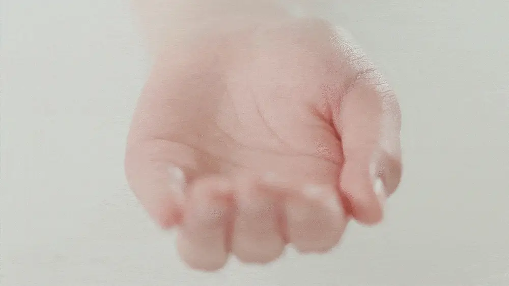 [손상 집중 케어] 차홍 인텐시브 리페어 샴푸 500ml 상세페이지 6